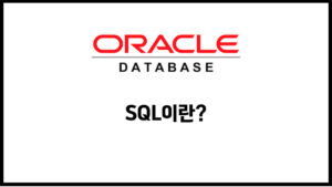 SQL에 대한 글을 다뤄보겠습니다.